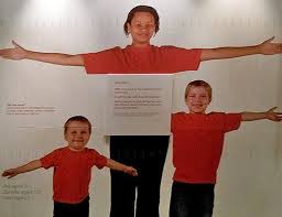 Image result for Arm Span