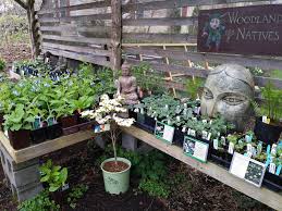 Profile for Ecotopian EarthCare