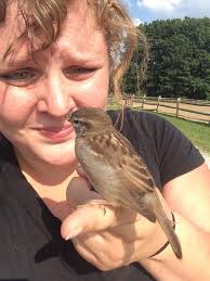 Getting so tight only one adult in to roost tonight.