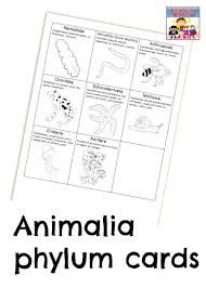Teach Your Kids How Animals Are Classified Animal Classification Life Science Animal Lessons