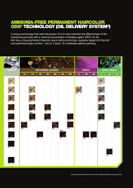 49 Detailed Loreal Diacolor Chart