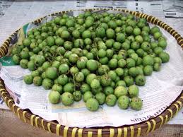Satu nama generik dan satu nama spesifik. Pokok Setar Wikipedia Bahasa Melayu Ensiklopedia Bebas