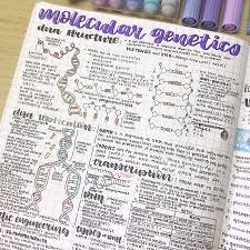 Pin On Study Motivation