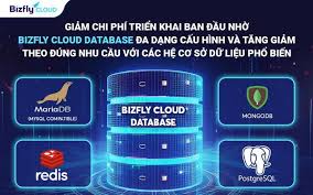 Giảm chi phí triển khai ban đầu và đáp ứng truy cập cao nhờ Bizfly Cloud  Database