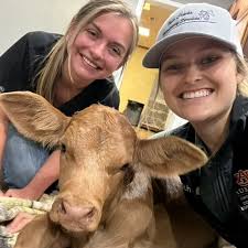 Meet our Fundraising Chair, Maggie Johnson! Maggie is a senior from  Roanoke, AL majoring in Animal Sciences Pre-Vet with a minor in Public  Health. When asked why she wanted to serve on