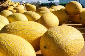 Jul 11, 2021 · the texarkana gazette is the premier source for local news and sports in texarkana and the surrounding arklatex areas. Hami Melon Adds Sweet Crunch To Your Summer Fresh Bites The Star