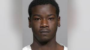 A misunderstanding:' Mother of man accused of fatally shooting stepfather  explains why