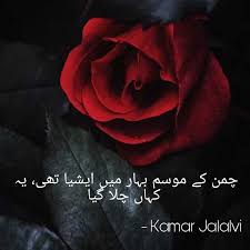 Study nature, love nature, stay close to nature.it will never fail you. frank lloyd wright. Red Rose Urdu Poetry