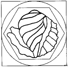 Mandala Mit Muschel Ausmalbild Malvorlage Mandalas Zum Ausdrucken