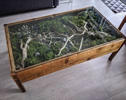Diy concrete side table kmart. I Made A Terrarium Coffee Table Pics Of The Build And More Info In The Comments Terrariums