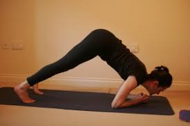 We did not find results for: Dolphin Yoga Pose Push Up Yoga Workout Motleyhealth