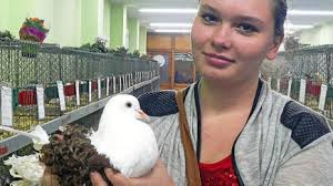 305 Tiere bei Rassegeflügelausstellung in Wildetaube