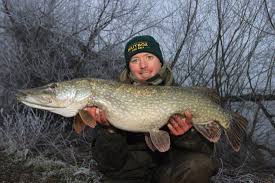 Coarse Fishing - A Winter Pike Session to Remember – By Lewis ...
