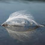 Ils sont en général plus grands, plus forts et ont plus de pouvoir que les anges. Recevoir Les 5 Archanges Chez Soi