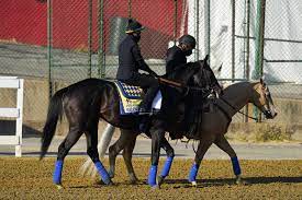 Hamilton's rev pro epic encounters eleven 05.16.2021 review. Preakness 2021 Horses Favorites And Contenders For This Year S Field Bleacher Report Latest News Videos And Highlights