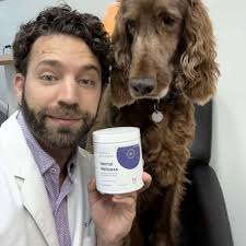 Beyond Recovery: Supplements Crafted With Care By Doctors