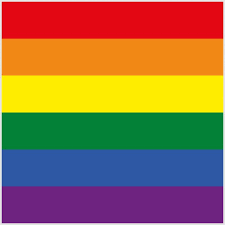 These flags represent people on every part of the gender and sexuality spectrum in and these flags go even deeper because they create a space for someone to celebrate. Official Lgbt Flag Stoffbeutel Not Straight