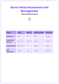 Image result for Burn Management