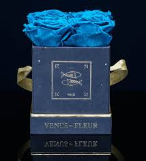 Now is the time to stand in your power and show the world that you're a star in your own right. Here S Your 2020 Horoscope According To Famed Astrologer Susan Miller