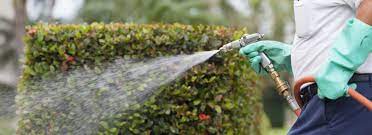 Pest control lawn care in palm beach gardens florida. Action Termite Pest Control In West Palm Beach Florida