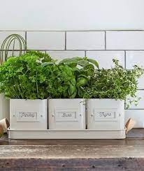 Everything You Need To Start A Low Maintenance Windowsill Herb Garden Herb Pots Herb Garden Planter Indoor Herb Garden