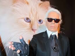 Karl Lagerfeld Tot Wer Erbt Die Millionen Katze Choupette Oder