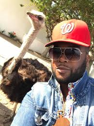 It's with great sadness we inform everybody that our beloved Ostrich, Tom  Thumb has passed away. He will be sorely missed by All of us worldwide. The  world's smallest recorded ostrich lived