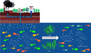 Global pest solutions llc was founded on sound principles, most notable, to safely provide customers with honest and taking the time to talk to a customer about the (biology) life cycle and behavior of an insect, choosing when to use non chemical methods, or answering a few questions to. Team Tu Darmstadt Project Pharmaceutical Degradation 2020 Igem Org