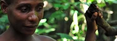 Ancestralidade global