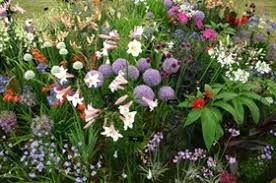 Free delivery on orders >£60. Buy Flower Bulbs From Avon Bulbs
