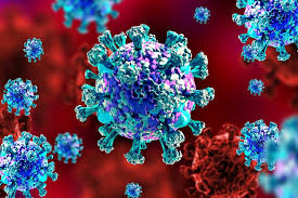 2019 novel coronavirus, wuhan seafood market pneumonia virus) — оболочечный одноцепочный. Novel Target Could Treat Both Sars Cov 2 And Other Coronaviruses