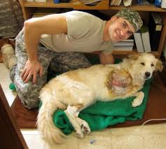 Army Veterinarian Part 1 Let S Start At The Very Beginning Veterinarian Vet Medicine Military Working Dogs