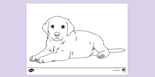 You can search several different ways, depending on what information you have available to enter in the site's search bar. Cute Puppy Colouring Page Colouring Activity For Kids