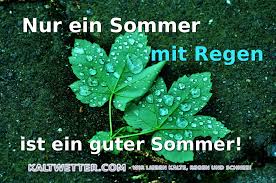 Sommer Regen Meme Spruch Kaltwetter Sprüche Kaltes Wetter