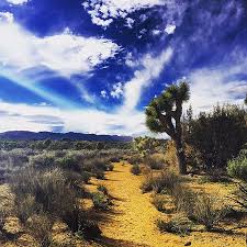 约书亚树国家公园 （joshua tree national park）是一个位于南 加州 的 美国国家公园 。 该公园由 美国国会 通过1994年《 加里福尼亚沙漠保护法 》而成立。 Joshua Tree National Park åŠ åˆ©ç¦å°¼äºšçº¦ä¹¦äºšæ 'å›½å®¶å…¬å›­çš„å›¾ç‰‡ Tripadvisor