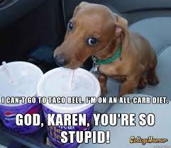 30 Dogs Who Are Actually Mean Girls Funny Dog Captions Funny Animals With Captions Funny Dog Photos