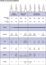 Assessment Of Gait Clinical Gate