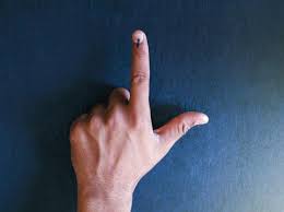 Delhi Election How To Vote Exit Polls Polling Booth And Other Faqs Business Standard News
