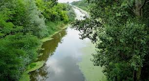 We did not find results for: Duna Tisza Csatorna Wikipedia