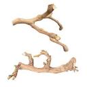 Amazon.com : BNOSDM 2PCS Reptile Wood Branches Decor Lizard ...