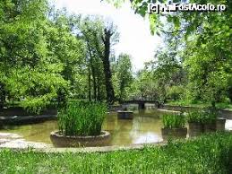 În anul 1964 pentru grădina botanică a fost ales un alt loc, iar în 1965 a fost. GrÄdina BotanicÄ In DouÄ Anotimpuri Impresii GrÄdina BotanicÄ Dimitrie BrandzÄ BucureÈti Amfostacolo