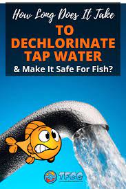 Tropical Fish Care Guides Aquarium Care For Beginners Made Easy Tropical Fish Fish Care Tropical Fish Aquarium