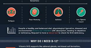 Pin By Stahiimyasnikov On Health Health Vitamin B12 Health And Nutrition