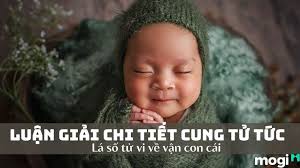 Cung Tử Tức Là Gì? Giải Mã Cung Tử Tức Trong Tử Vi