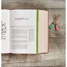 By csb bibles by holman, raechel myers, amanda bible williams. Our Favorite Bibles Which Bible Is Best For You Ronnie Mel