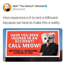 Lawyer rod ponton on feb. I Am Not A Cat Zoom Cat Lawyer I M Not A Cat Know Your Meme