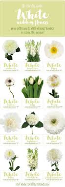 Essential White Wedding Flower Guide Names Types Pics Wedding Flower Guide White Wedding Flowers Types Of White Flowers