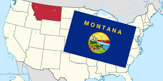 Written into montana legislation are exemptions for poker, keno, bingo and video gambling machines, while sports betting was officially legalised in 2019. Montana Gambling Law Gamingzion Gamingzion