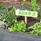 Memorial Park Community Gardening event image