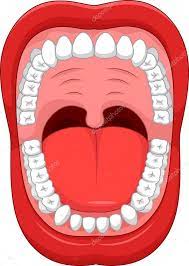 descargar dibujos animados de abrir la boca y dientes sanos blanco ilustracion de stock human mouth dental health preschool crafts dental health preschool